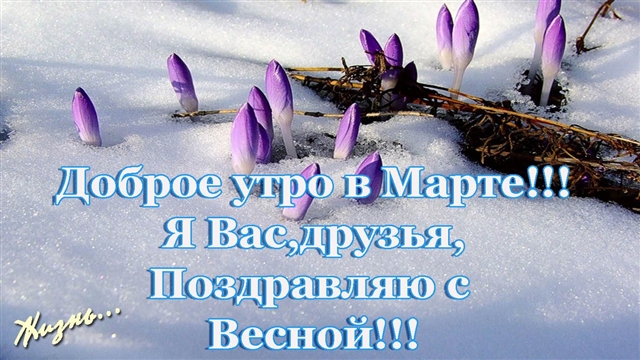 Прикольны поздравления с весной Прикольны поздравления с весной
