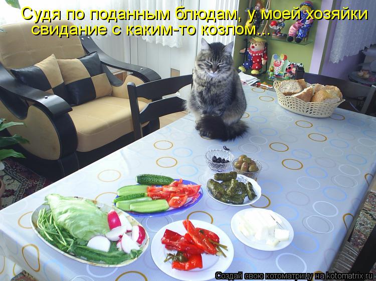 Возможно все (котоматрица)