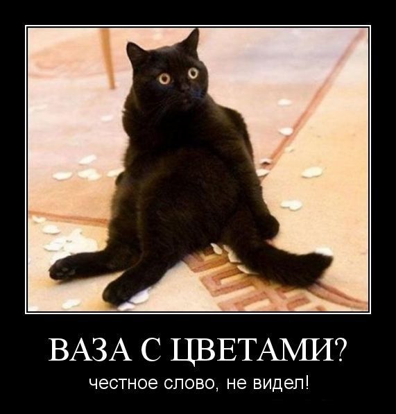 Демотиваторы (30 фото) Демотиваторы (30 фото)