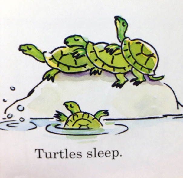 17. Как спят черепахи запрет, книга, ребенок