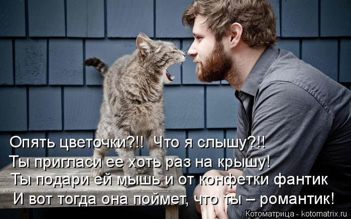 Лучшие котоматрицы недели