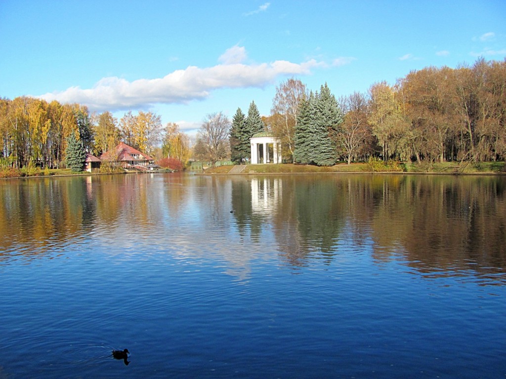 Крестовский остров в Санкт-Петербурге