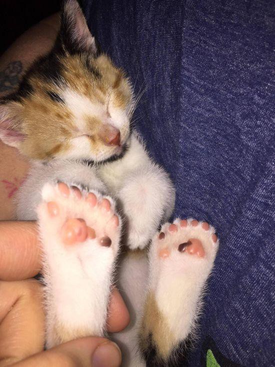 Подборка картинок Подборка картинок картинки, приколы