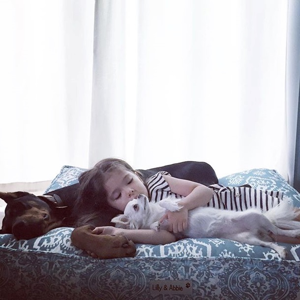 Пользователей сети умилил спящий в детской кровати пес