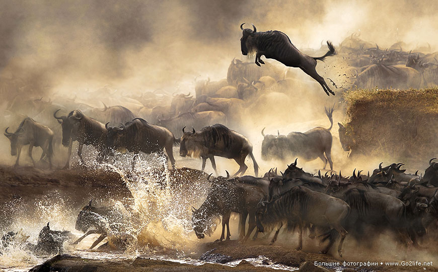 Sony World Photography Awards 2014