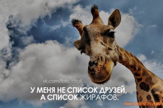 Слова, цитаты, юмор и просто советы в картинках Слова, цитаты, юмор и просто советы в картинках