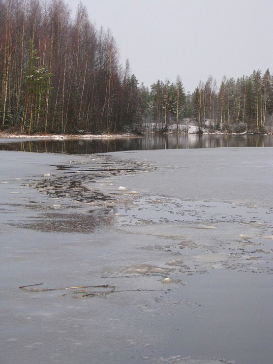 Робинзон в тайге