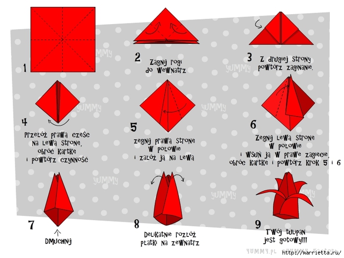 Как сделать бумажный тюльпан оригами