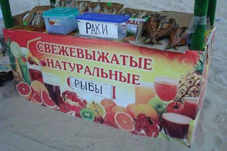 Казусы и ляпы в рекламе: подборка шедевральных вывесок, ценников и билбордов Казусы и ляпы в рекламе: подборка шедевральных вывесок, ценников и билбордов прикол, реклама, фото