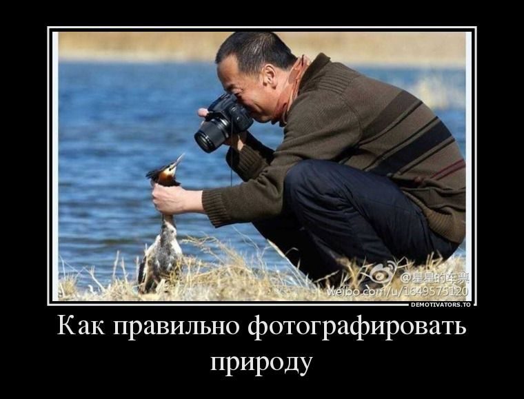 ДЕМОТИВАТОРЫ. Ну чтоб не скучно было на работе работать работу. ДЕМОТИВАТОРЫ. Ну чтоб не скучно было на работе работать работу.