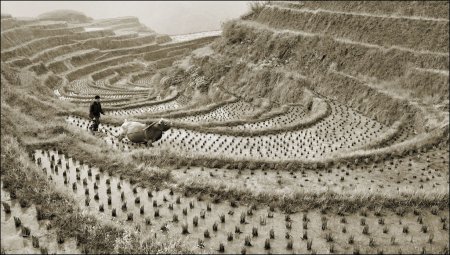  Прекрасные фотографии со всего мира. 