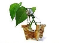 Интересные идеи для дачи
