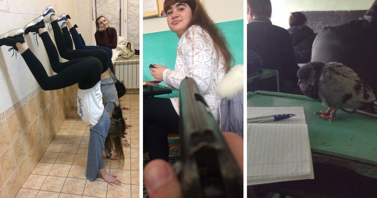 Не ПТУ, а колледж: сумасшествие в средне-специальных учебных заведениях Не ПТУ, а колледж: сумасшествие в средне-специальных учебных заведениях
