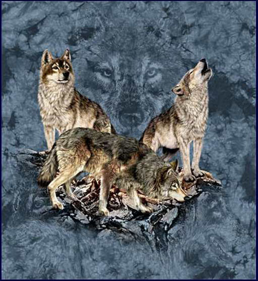 7 волков Стивена Гарднера, загадки, картины