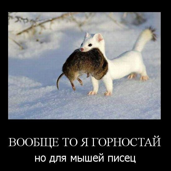 Демотиваторы.Смешные, грустные, жизненные.... Демотиваторы.Смешные, грустные, жизненные....