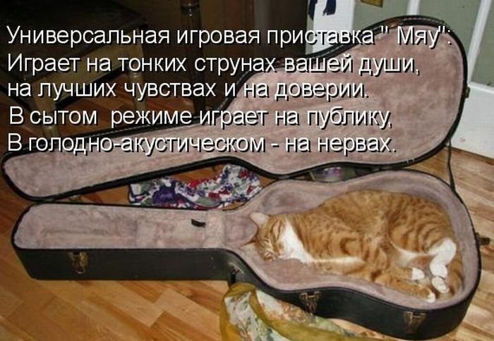 Котоматрица. Часть 2. (45 фото)