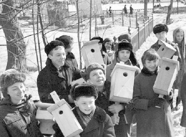 А еще делали скворечники. А еще делали скворечники. СССР, история, школа