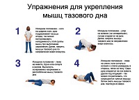Упражнения от простатита Упражнения от простатита