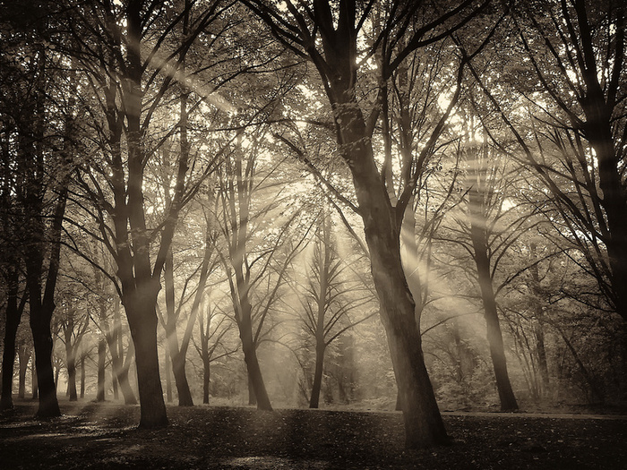     : Lars van de Goor