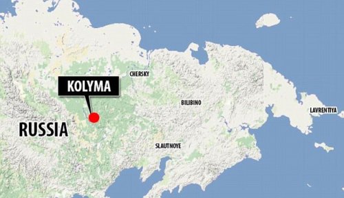 Место обнаружения вируса Место обнаружения вируса