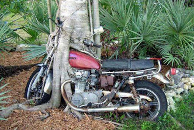 Легенда гласит, что этот мотоцикл был найден в Шри-Ланке, после долгой войны в 3 десятилетия заброшенное, природа, разрушение, цивилизация