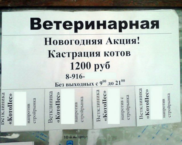 Угадайте, что подарят коту на Новый Год? Угадайте, что подарят коту на Новый Год?
