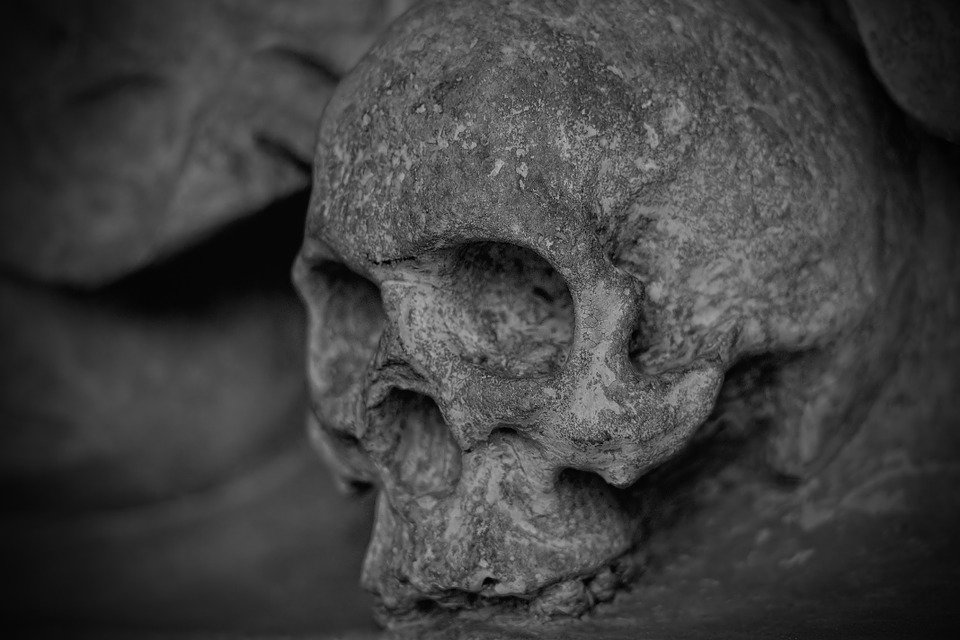 В Ленобласти найден скелетированный труп человека