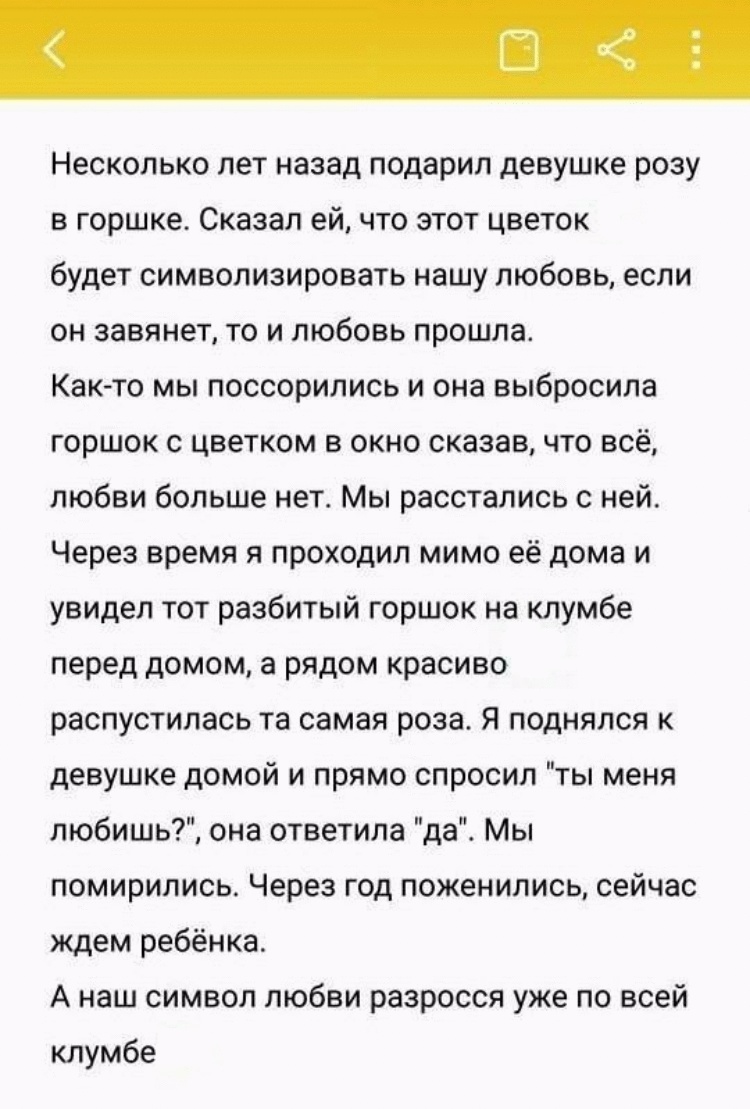 11 самых интересных не выдуманных историй, которые обязательно поднимут настроение 11 самых интересных не выдуманных историй, которые обязательно поднимут настроение