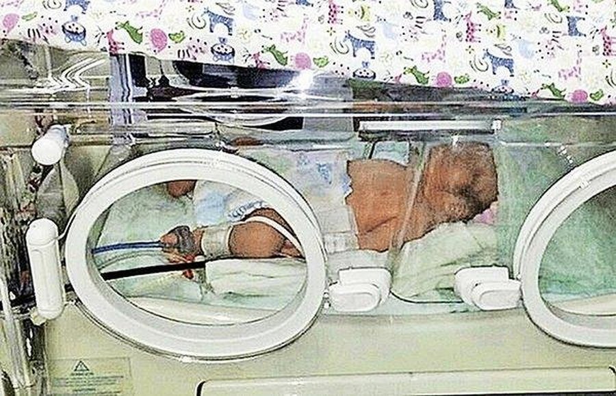 Пес притащил тяжелый сверток с мусорки домой...