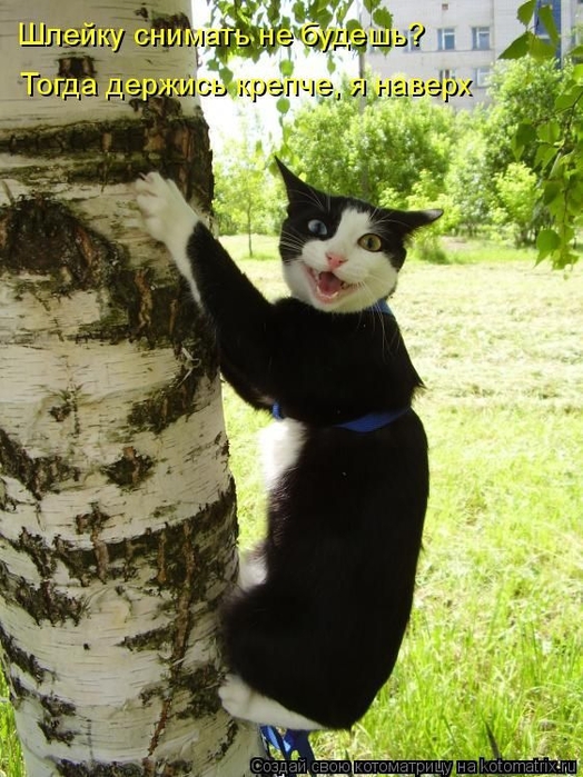 1426799324_27 (524x700, 294Kb)