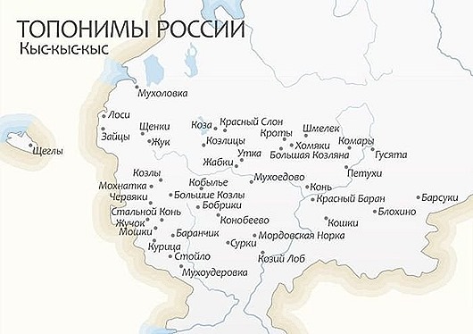 24464809