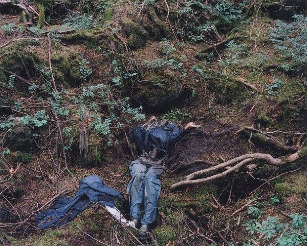 Лес самоубийц Аокигахара — одно из самых жутких мест в Японии и на планете