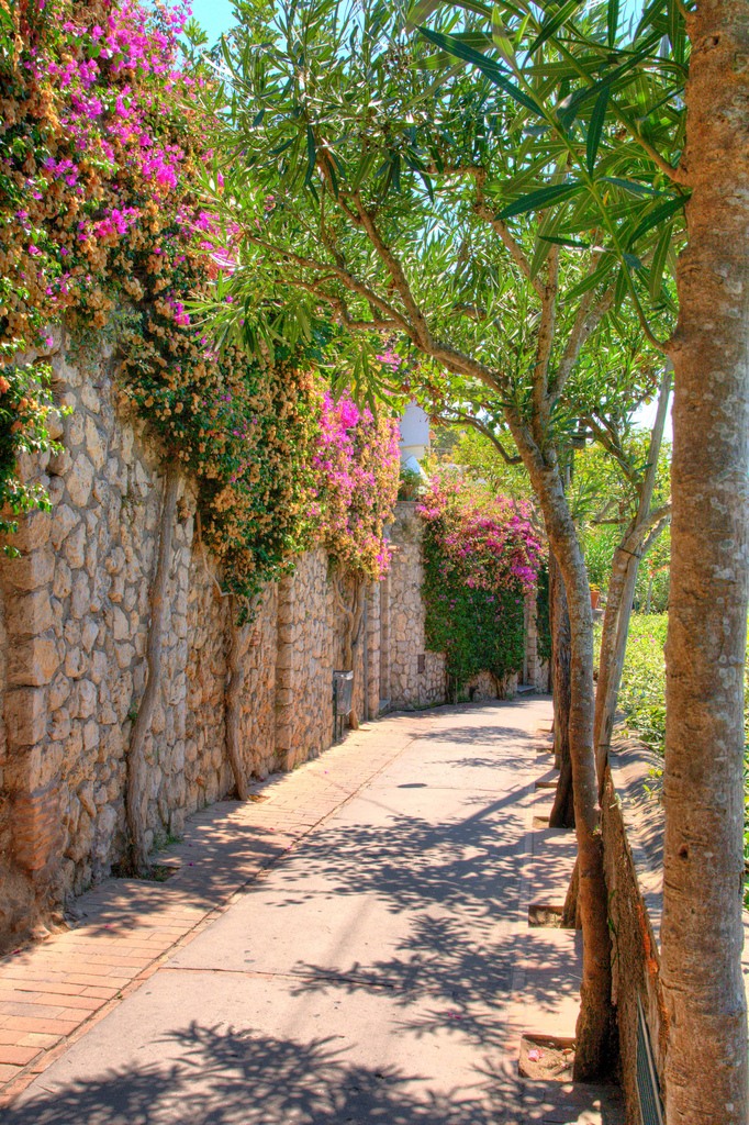 NewPix.ru - Живописный остров Капри,Италия