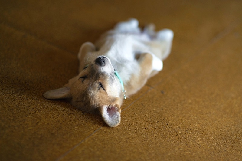 ������ ����� �����-�����. ����