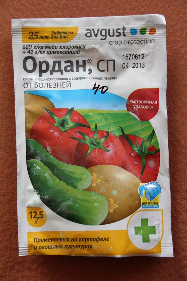Томат «Диковинка». II этап. Пикировка, ч.2 Томат «Диковинка». II этап. Пикировка, ч.2