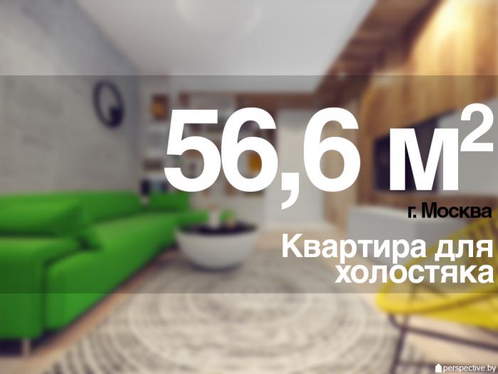 Проект двушки для холостяка Проект двушки для холостяка