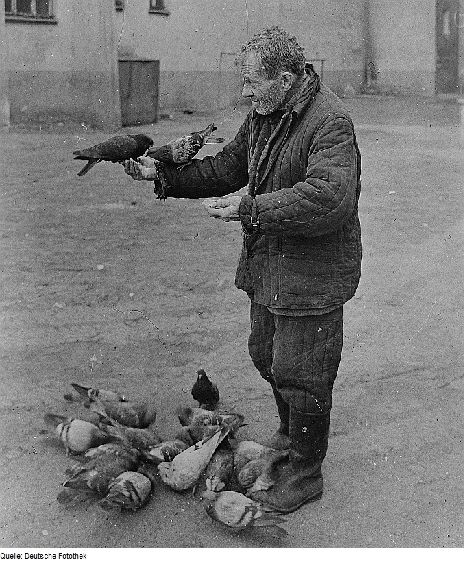 Fotothek_df_ps_0000630_002_Tiere_^_Vögel_^_Tauben_^_Fütternde