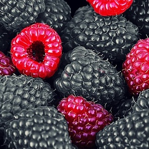 черная малина