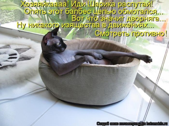 original (15) (700x525, 200Kb)