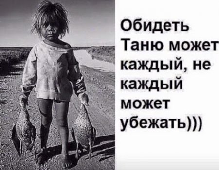 Поговорим о кошках39