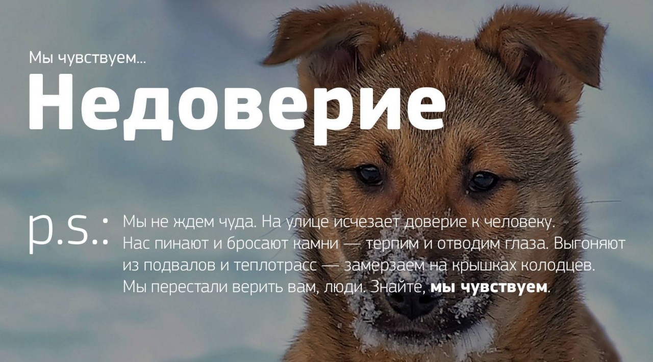 Мы чувствуем