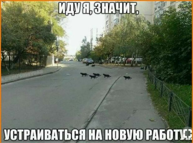 Василиса Прекрасная была приятно удивлена, когда узнала... Василиса Прекрасная была приятно удивлена, когда узнала...