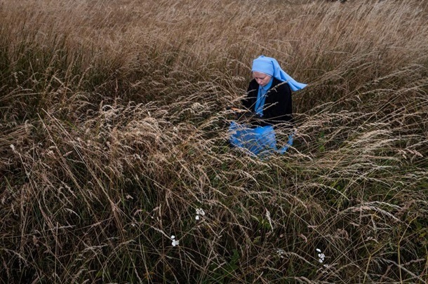 National Geographic выбрал лучшие фото 2015 года