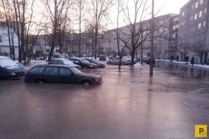 Подборка прикольных фотографий, часть 52 (106 фото)