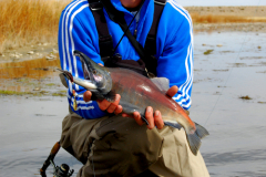 � ���������� ��� � ��� ������ � ���������� ������