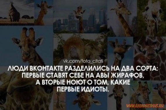 Слова, цитаты, юмор и просто советы в картинках Слова, цитаты, юмор и просто советы в картинках