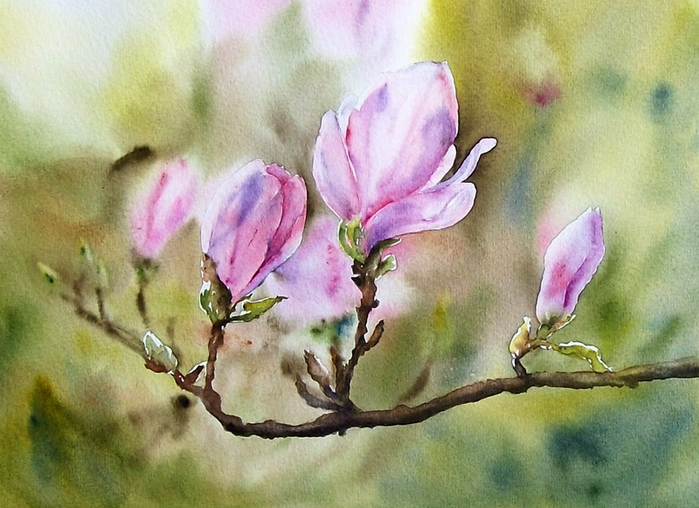 magnoliowa-wiosna (700x508, 383Kb)