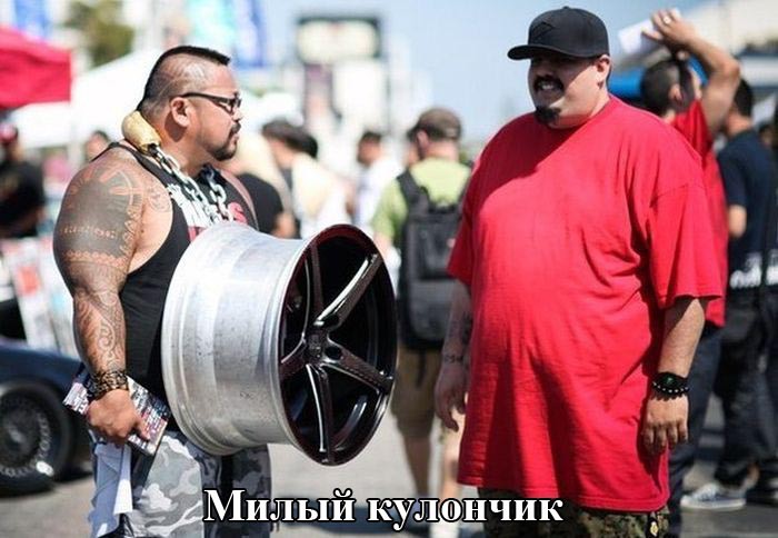 Прикольные картинки с надписями Прикольные картинки с надписями картинки, прикол, фото