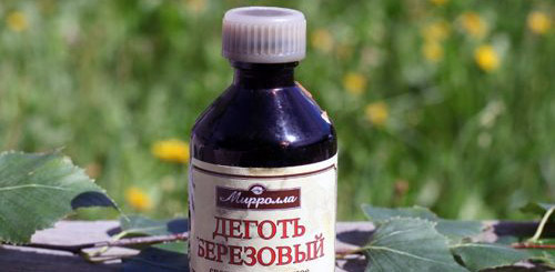 Тля не выносит березовый деготь Что помогает от тли