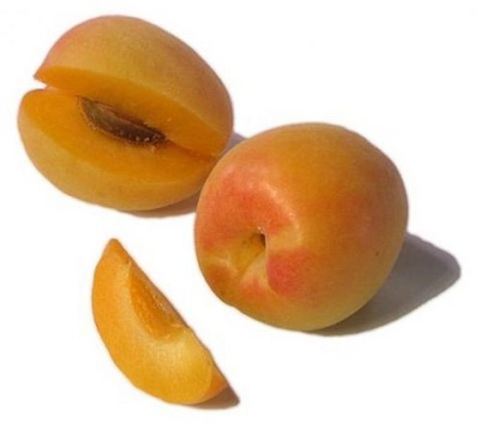 9.  , , 